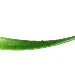 aloe_vera_45385891